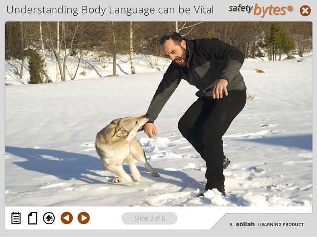 SafetyBytes® - Understanding a Dog’s Body Language