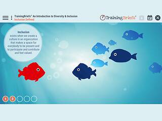 TrainingBriefs® An Introduction to <mark>Diversity</mark> & Inclusion